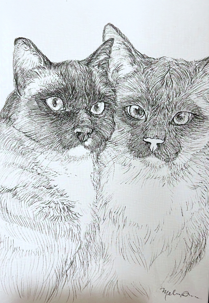 Delilah & Sampson