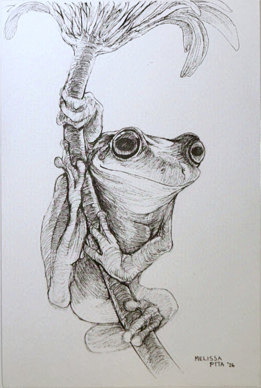 Frog