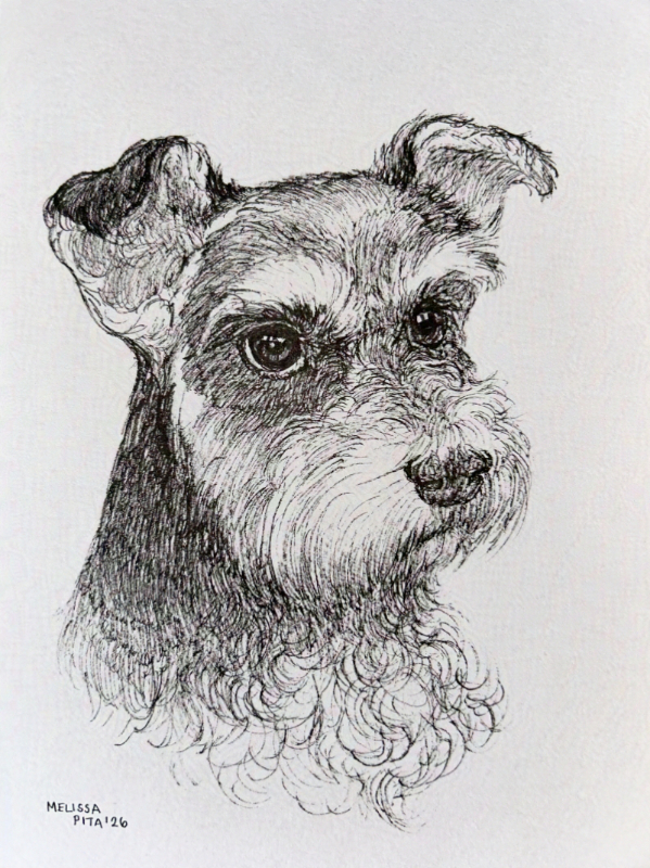 Heidi