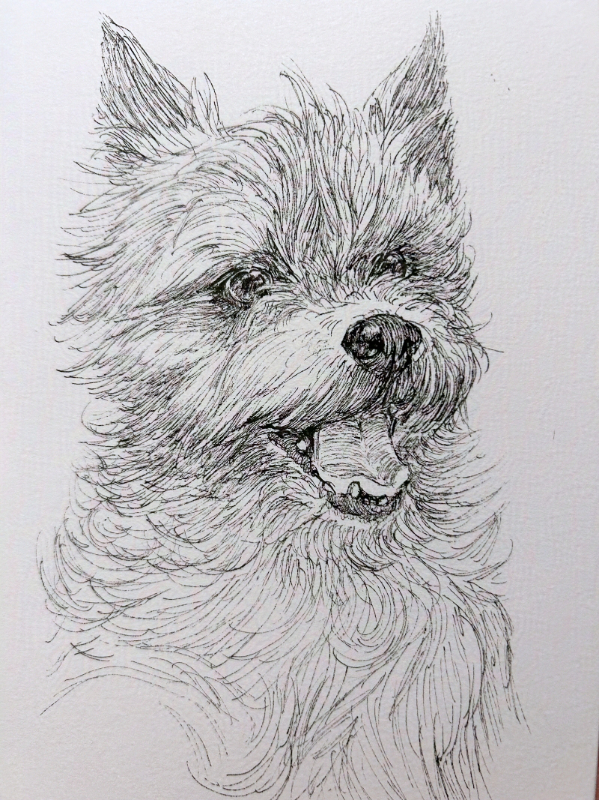 Pepper