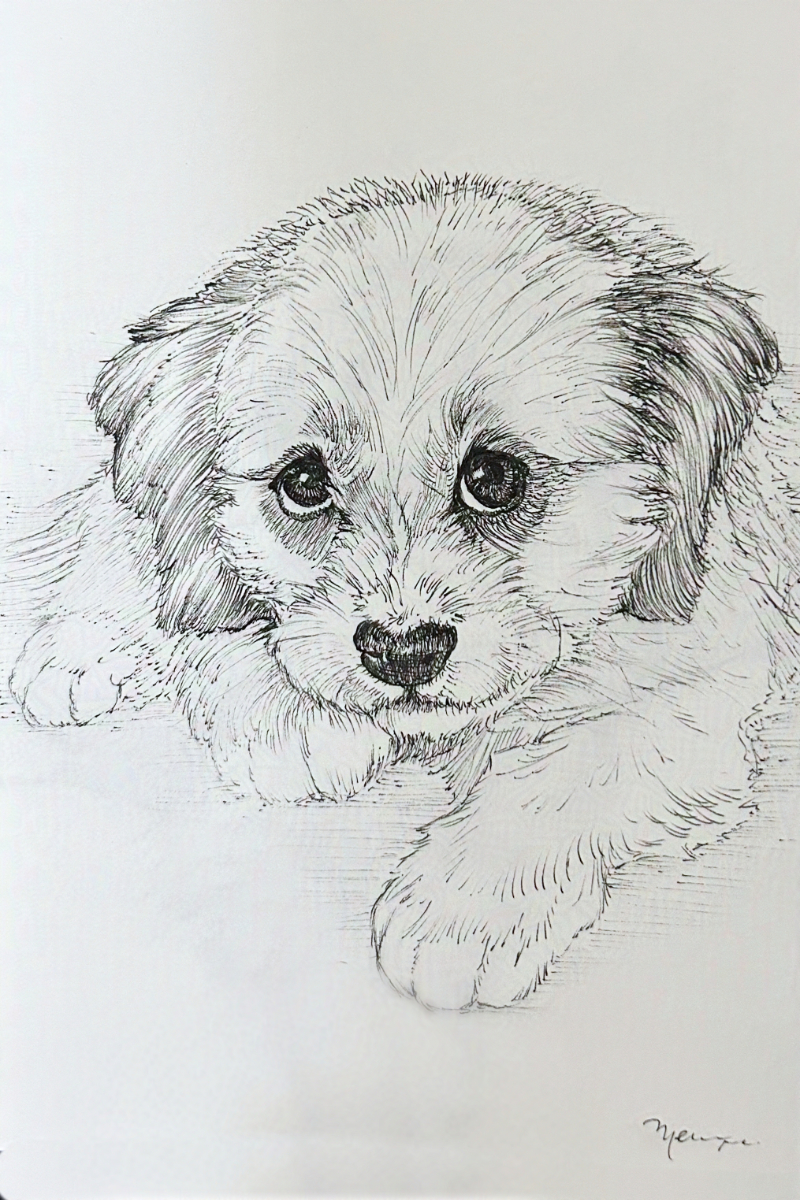 Puppy