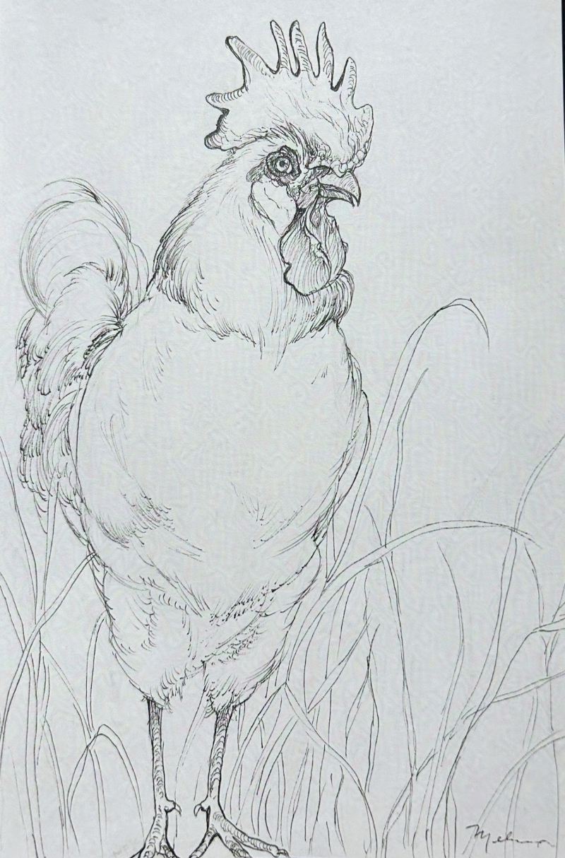 Rooster
